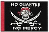 No Mercy 12"x18" Flag